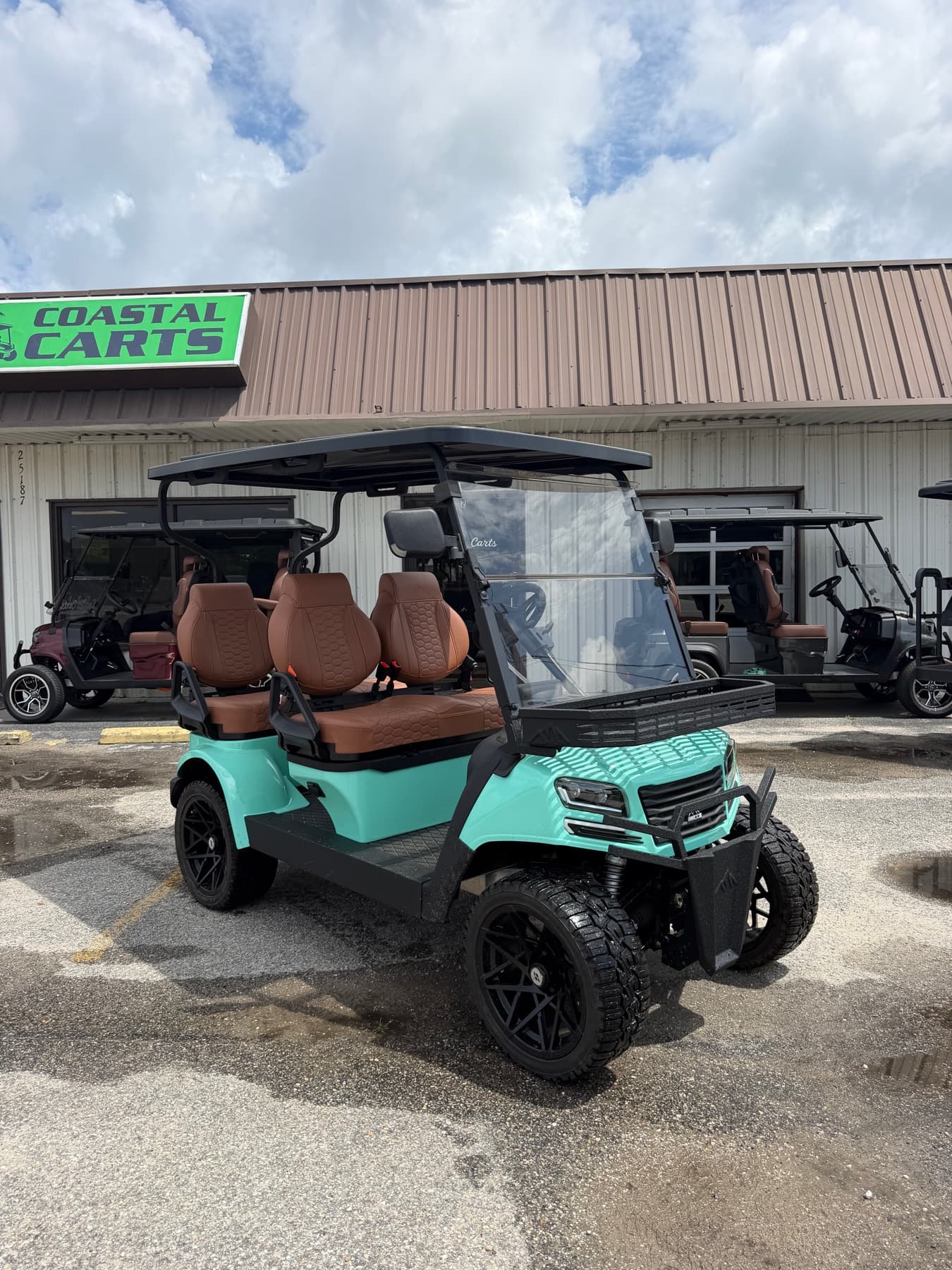 Sierra AX4 Green/Tan 2026