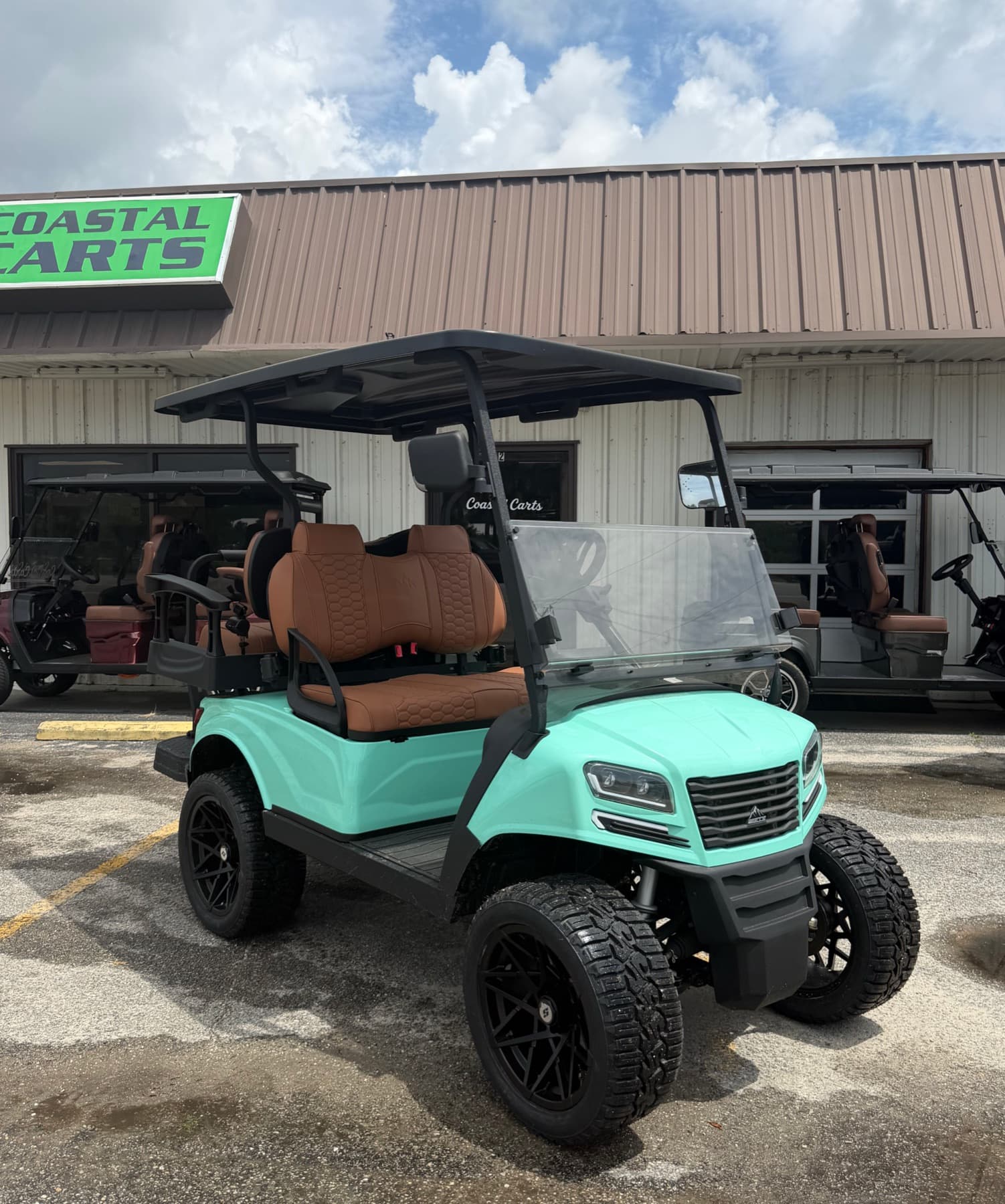 Sierra AX1 Green/Tan 2026