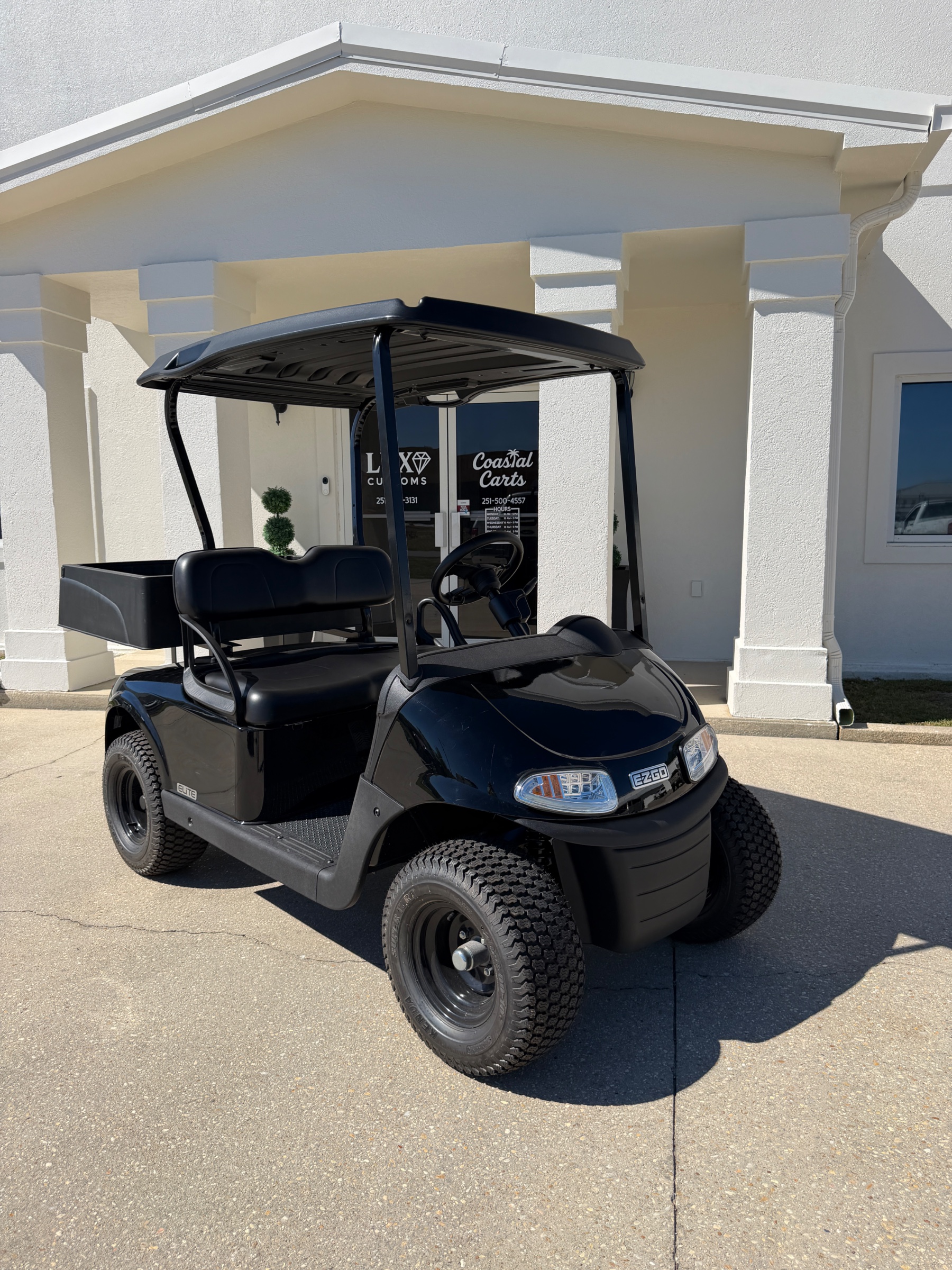 2 Seater EZ-GO Elite — photo 1 of 5